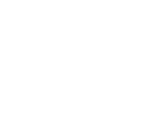 Nitin Sawhney Logo